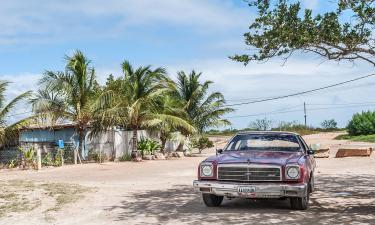 Bonham’s проведет в Париже торги фильмовыми автомобилями сообщил аукционный дом