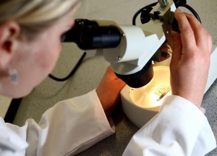 Nature: найдены гены клеток мозга, отличающие человека от приматов