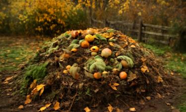 Переворачивать компост зимой не рекомендуется из-за потери тепла — Actualno
