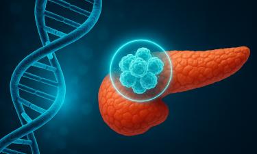 Опасное сочетание жиров и сахара для поджелудочной выявили — AkcniCeny