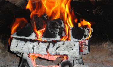 ВОЗ: в домах уровни загрязнения от дровяных печей превышают рекомендации