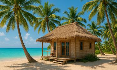 Отдых мечты обернулся кошмаром: что привезли с Сейшел российские туристы