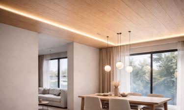 Белый потолок сдаёт позиции: тёмная палитра делает с высотой странные вещи