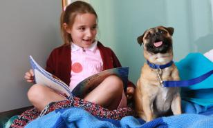 Собаки способны различать слова "по-человечески"