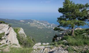 В Крыму "брюссельских политиканов" обвинили в невежестве из-за новых санкций