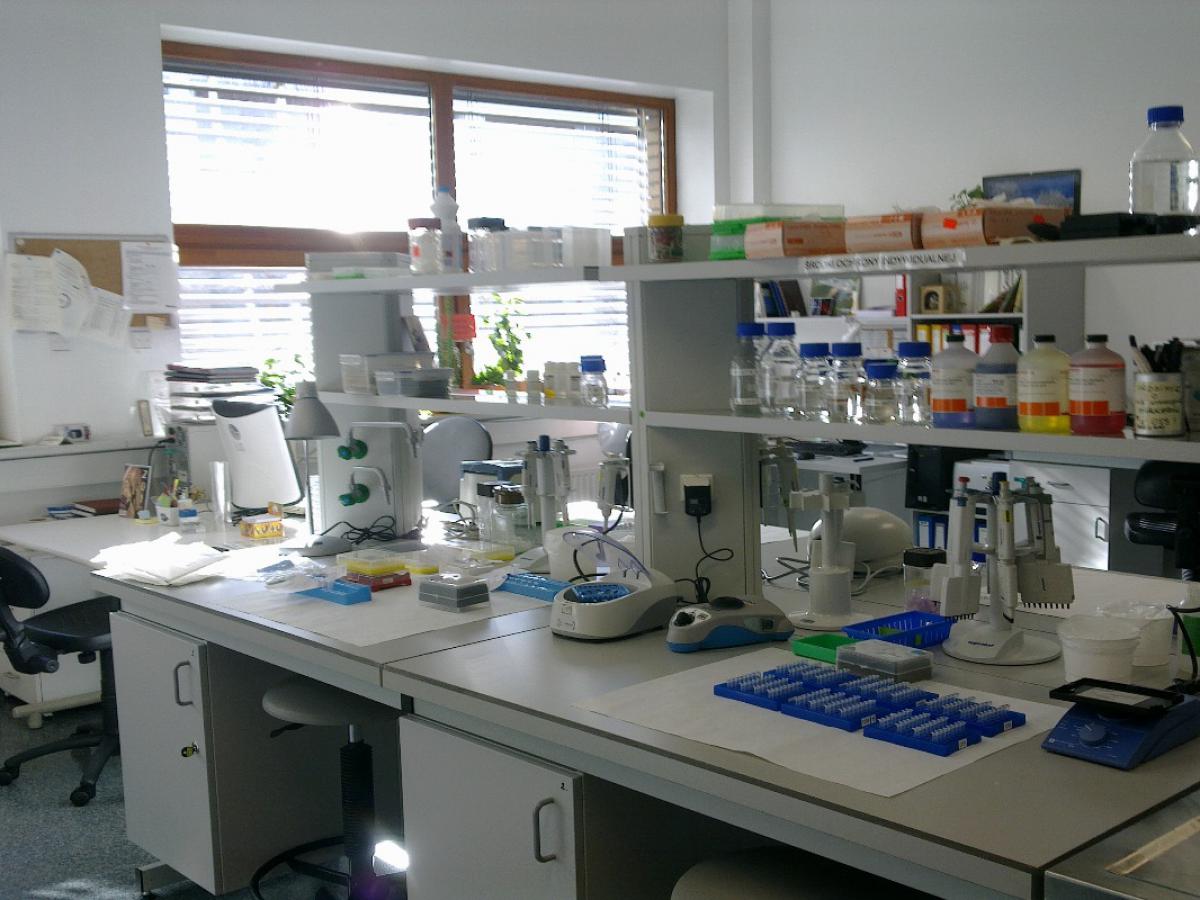 За пределами таблицы Менделеева: учёные открыли дверь в бесконечную химию