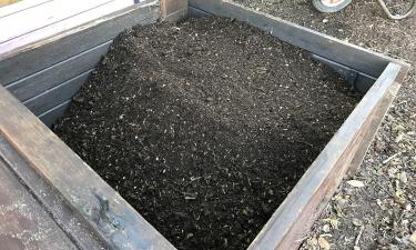 Сосед посмеётся сегодня, а через три недели будет завидовать: вот как ускорить созревание компоста