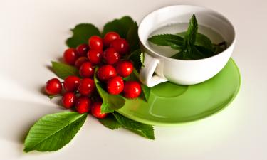 Комбинация шиповника и солодки снижает активность гриппа — Алексей Панов