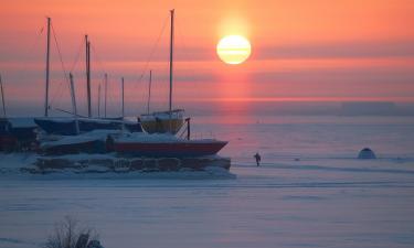 Голос в цифровой пустоте: жалобы жителей Архангельска всё чаще пролетают мимо местных кабинетов