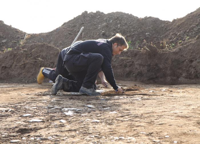 "Впечатляющий" зал, вероятно, принадлежавший королевской семье, обнаружен в Германии