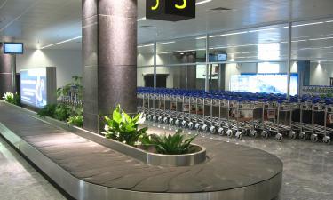 Искусственный интеллект облегчает поиск чемоданов в Пулково — все подробности