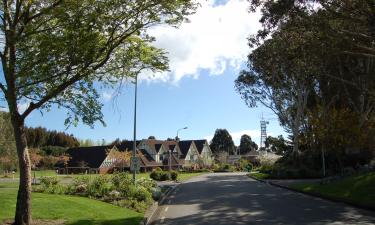 Число фермерских хозяйств в Новой Зеландии стремительно сокращается — The Guardian