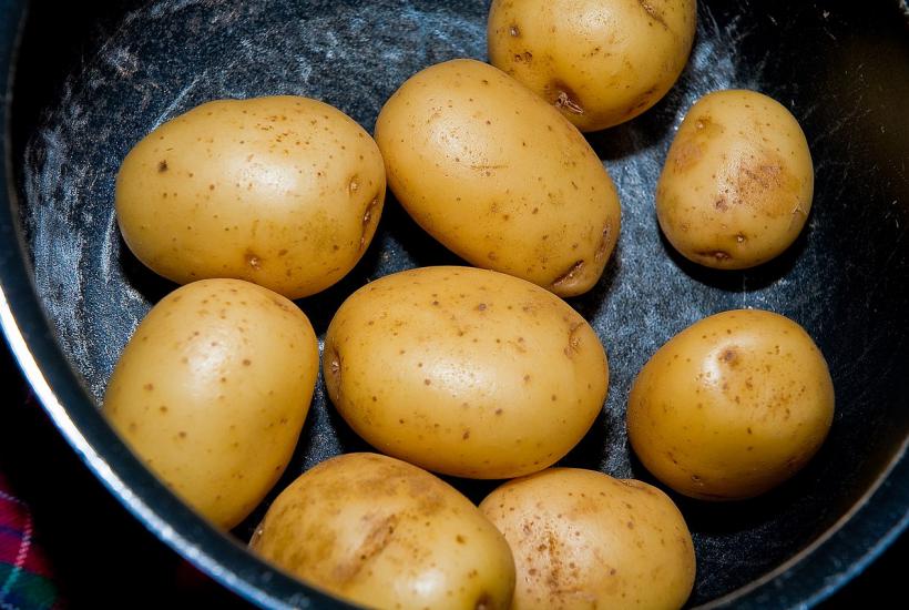 Картошка, картофель Картошка, картофель