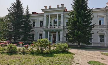 Старая логистика на свалке: Благовещенск и Хэйхэ начинают полную переборку двигателя восточной политики