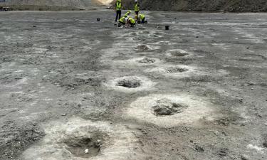 В Чили найдены древнейшие следы динозавров — Swiss Journal of Palaeontology