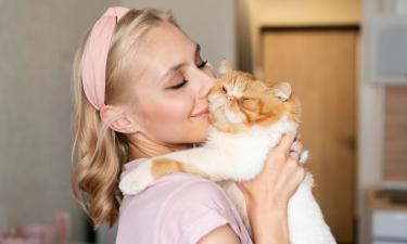 Персидские кошки сохраняют здоровье до 20 лет при хорошем уходе — ветеринары