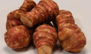 Минеральный состав топинамбура сравнили с картофелем нутрициологи