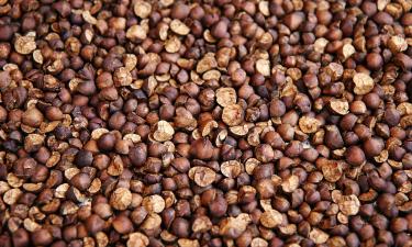 Гречка дешевеет: как урожай 2025 года сделал крупу доступной каждому