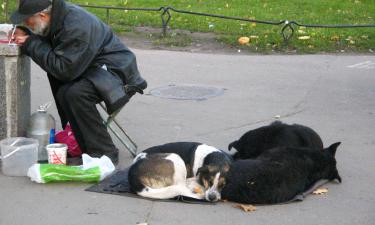 Американская мечта под угрозой: бедность может стать катализатором экономического спада в США