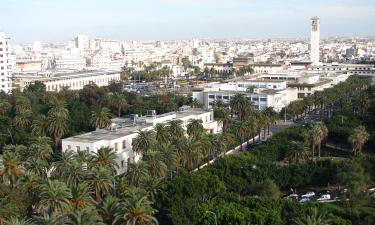 Осень окрашивает Марокко в спокойные тона: почему туристы выбирают Эс-Сувейру