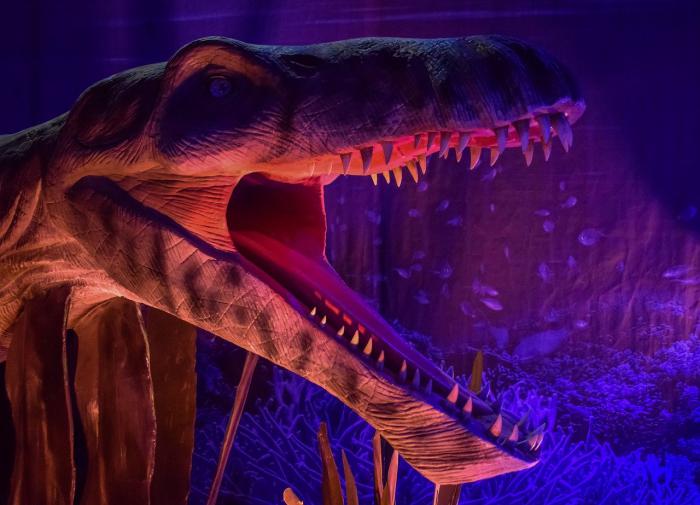 В Марокко обнаружены останки переплывшего океан сухопутного динозавра