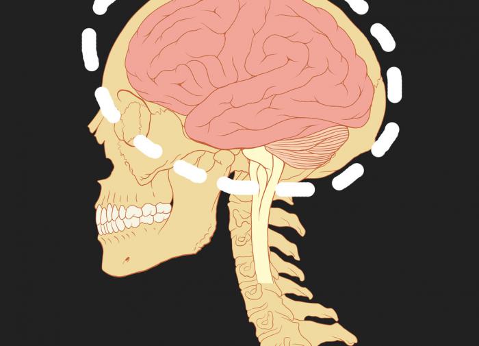 Японские ученые предложили способ стать умнее всего за 3 минуты