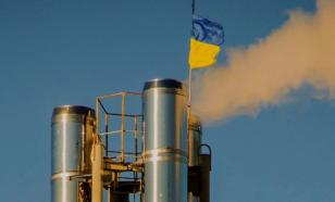 В Закарпатской области Украины ввели ЧС, так как без газа могут остаться школы