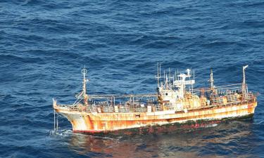 Россия рассматривает возможность восстановления промысла осетровых в Азовском море