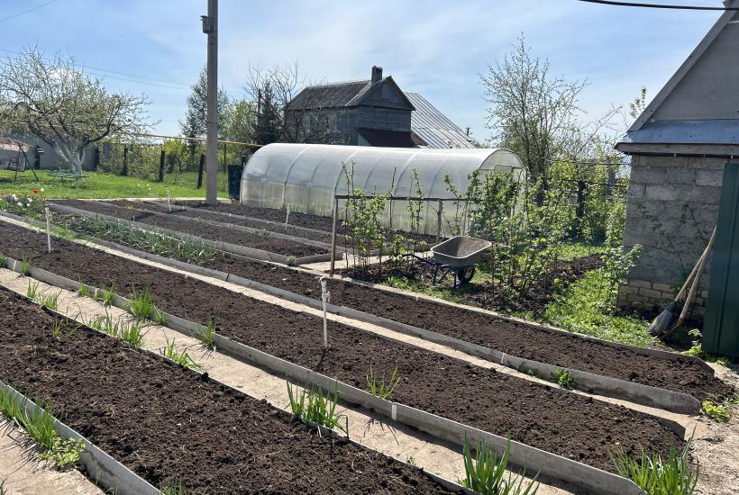 Огород, сад