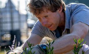 Урбанисты не поймут прелести дачи: свои огурцы, яйца из курятника и спокойствие