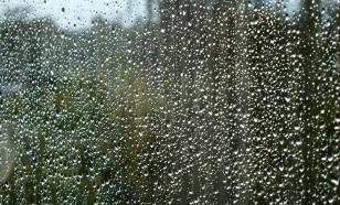 В Индии прошёл ливень из рыб