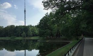 Сотрудницу телецентра изнасиловали рядом с "Останкино", задержаны трое иностранцев