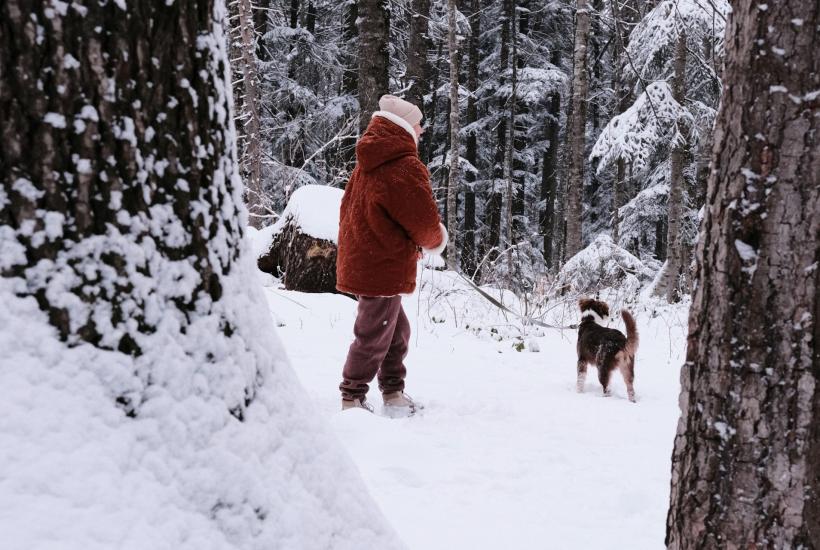Прогулка с собакой