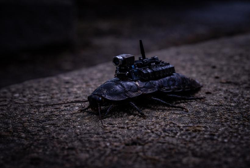 Таракан-шпион