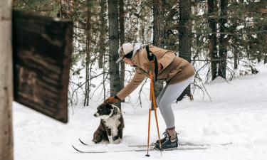 Лыжные гонки задействуют все группы мышц организма — чемпион ОИ Девятьяров