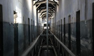 Научный эксперимент разрушил веру в силу наказания: почему строгие законы не возвращают справедливость