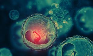 Доказано, что эмбрионы "крадут" питательные вещества у матери