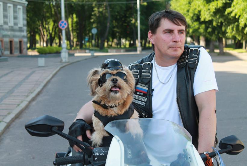 Собака Собака