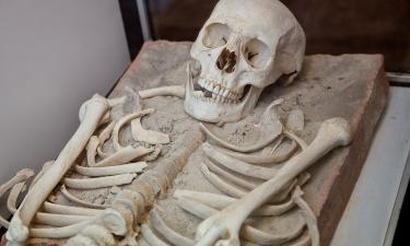 Археологи нашли в пещере Эль-Мирадор следы военного каннибализма неолита — Scientific Reports