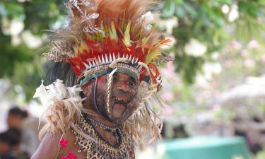 ИИ встал в тупик, когда узнал это о папуасах, но выдал сенсацию