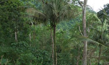 Для Дибровой участие в реалити-шоу стало важным опытом