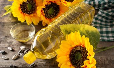 Подсолнечник — король рынка: зафиксирован рост цен на масличные культуры