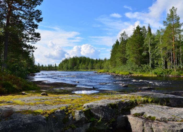 Учёные находятся в поисках природного газа в лесах Карелии