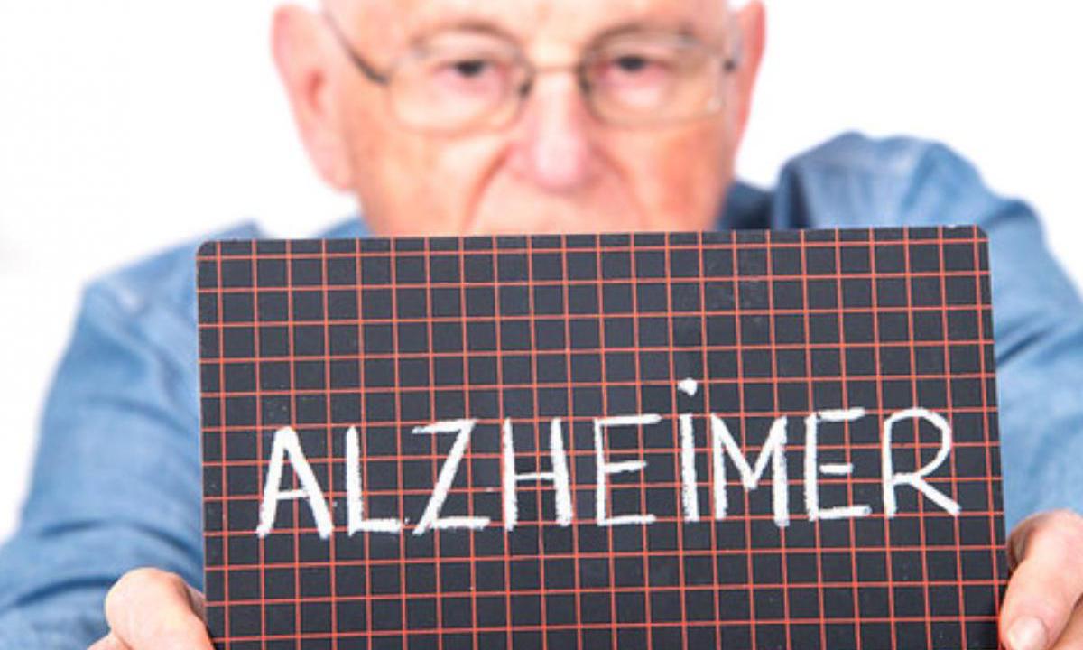 Springer Link: световая терапия во сне очищает мозг от токсичных белков