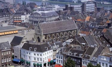 Тиммерманс уходит в тень: крах большой оппозиционной партии Европы