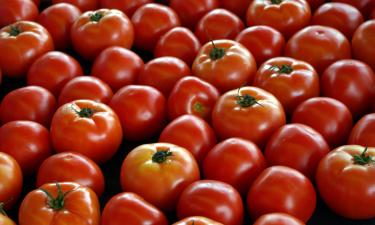 Черри содержат больше ликопина, витамина С и бета-каротина, чем крупные помидоры