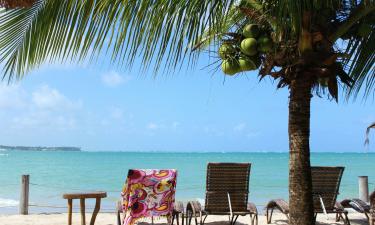 Зимний отпуск в Уругвае выбирают семьи с детьми — Business Insider