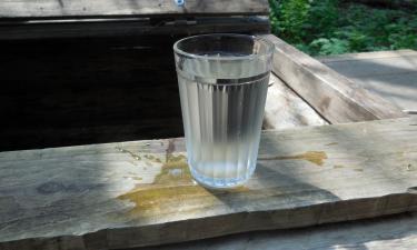 Угрожал выбросить ребёнка: как зависимость разрушила жизнь советского Робертино Лоретти Сергея Парамонова