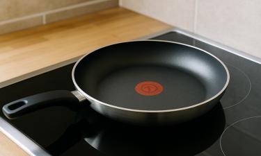 НПО подали в суд на Tefal за сокрытие экологических рисков антипригарных сковородок
