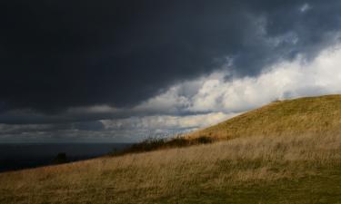 В Северо-Казахстанской области вскрылась гигантская проблема с землёй — теперь их отдали другим